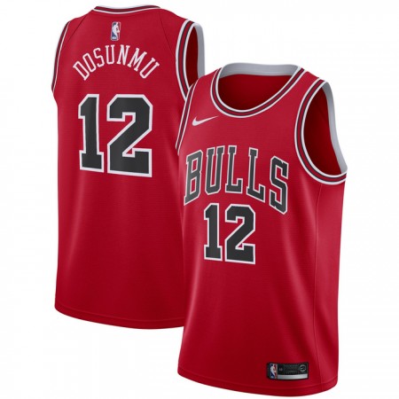 Dres Chicago Bulls Ayo Dosunmu 12 Nike 2022-23 Icon Edition Crvena Swingman